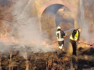 Strażnicy miejscy oraz strażacy podczas gaszenia pożaru łąki