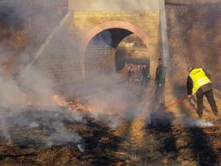 Strażnicy miejscy oraz strażacy podczas gaszenia pożaru łąki
