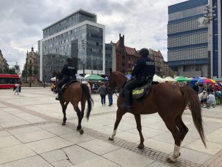 Patrol policji na koniach