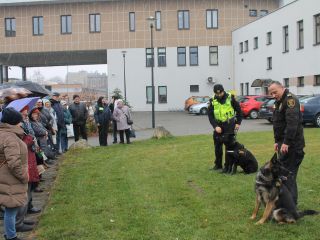 Strażnicy miejscy podczas pokazu posłuszeństwa psów