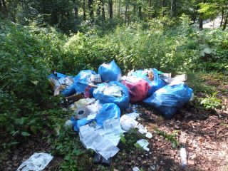 Śmieci w lesie przy ul. Ceramicznej