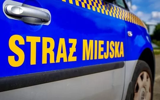 Wąż wystraszył mieszkańców! Egzotyczny gość wił się na klatce schodowej
