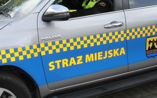 Kosze na śmieci niszczył piłą mechaniczną. Akcja strażniczek miejskich
