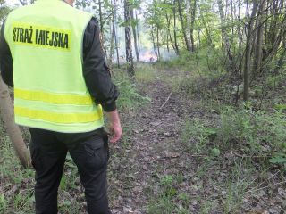 Pożar przy ul. Pośpiecha