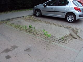 Usunięty z ulica Adama citroen berlingo