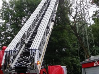 Straż pożarna podczas przycinania gałęzi drzewa