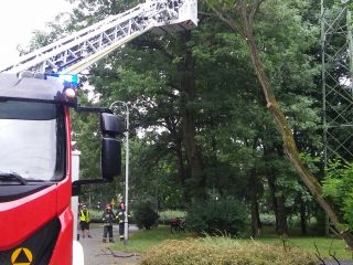 Straż pożarna podczas przycinania gałęzi drzewa