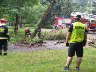 Strażnik miejski i strażak