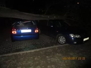 Skutki nocnej nawałnicy w Katowicach