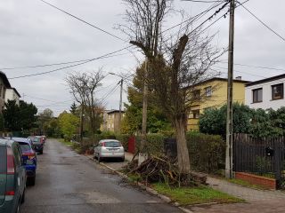 ul. Huculska – na całej długości ulicy drzewa z uschłymi gałęziami, niektóre z wypróchniałymi pniami,