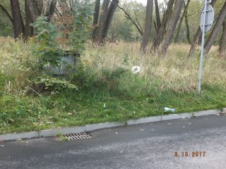 ul. Załęska Hałda na odcinku od Dobrego Urobku do nr 8 – do przycięcia rozrośnięte krzewy zawężające szerokość jezdni, 