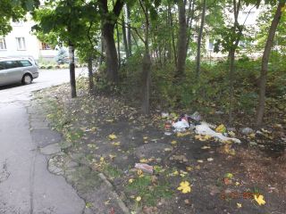 ul. Bromboszcza pomiędzy nr 2 i 6 – zaśmiecony zielony teren