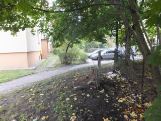 ul. Bromboszcza pomiędzy nr 2 i 6 – zaśmiecony zielony teren