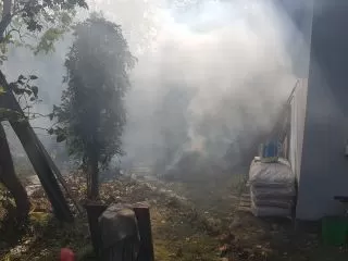 Pozostałości roślinne palone na ogódku działkowym