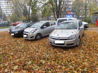 Parkujące na trawnikach Tysiąclecia samochody
