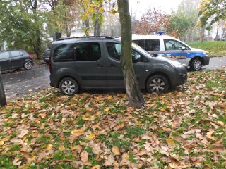 Parkujące na trawnikach Tysiąclecia samochody