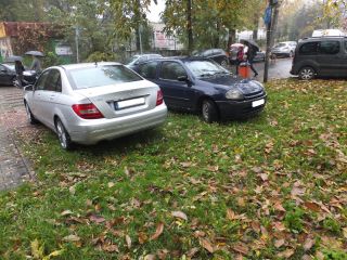 Parkujące na trawnikach Tysiąclecia samochody