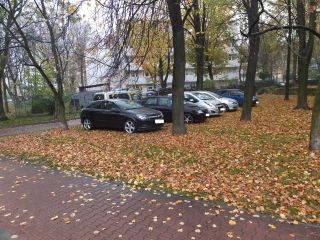 Parkujące na trawnikach Tysiąclecia samochody