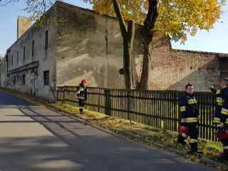Strażący podczas wycinania drzewa