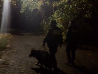 Strażnicy miejscy podczas patrolowania cmentarza na osiedlu Tysiąclcecie w Katowicach
