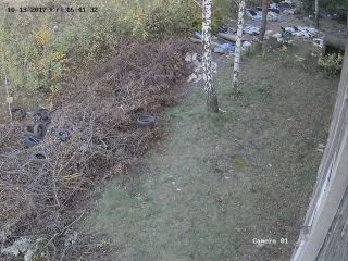 Odpady wyrzucone na prywatnej posesji