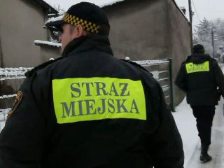 Strażnicy miejscy podczas kontroli palenisk w Katowicach