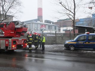 Strażnicy miejscy i strażacy podczas wycinania drzewa