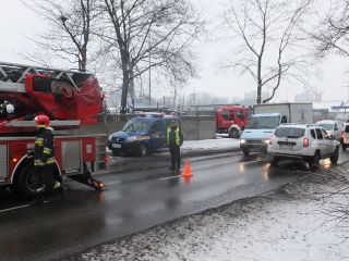 Strażnicy miejscy i strażacy podczas wycinania drzewa