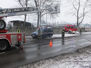 Strażnicy miejscy i strażacy podczas wycinania drzewa