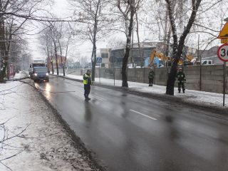 Strażnicy miejscy i strażacy podczas wycinania drzewa