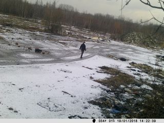 Wyrzucanie odpadów zielonych przy ulicy Obrońcó Westerplatte