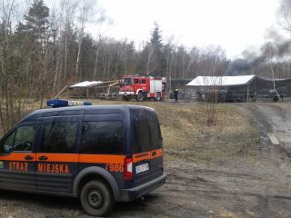 Strażnicy miejscy i strażacy poodczas akcji gaszenia palących się  opon w rejonie ulicy Goetla