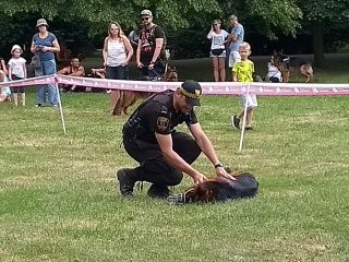 strażnicy miejscy podczas pokazu posłuszeństwa psa