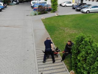 Przewodnicy psów i ich czworonożni partnerzy podczas atestacji