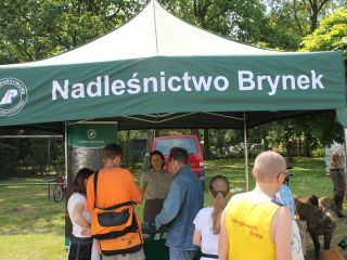 Uczestnicy pikniku rodzinnego Ekoodpowiedzialnie 2019