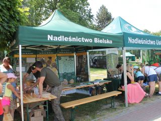 Uczestnicy pikniku rodzinnego Ekoodpowiedzialnie 2019