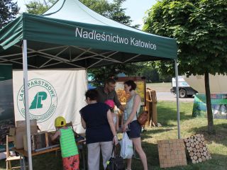 Uczestnicy pikniku rodzinnego Ekoodpowiedzialnie 2019