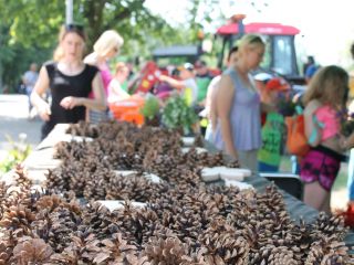 Uczestnicy pikniku rodzinnego Ekoodpowiedzialnie 2019