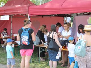 Uczestnicy pikniku rodzinnego Ekoodpowiedzialnie 2019