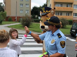 Bezpieczna droga do szkoły w rejonie Szkoły Podstawowej przy ulicy Przyjaznej w Katowicach