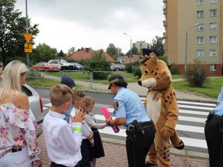 Bezpieczna droga do szkoły w rejonie Szkoły Podstawowej przy ulicy Przyjaznej w Katowicach