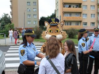 Bezpieczna droga do szkoły w rejonie Szkoły Podstawowej przy ulicy Przyjaznej w Katowicach