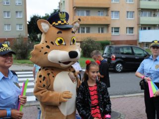 Bezpieczna droga do szkoły w rejonie Szkoły Podstawowej przy ulicy Przyjaznej w Katowicach