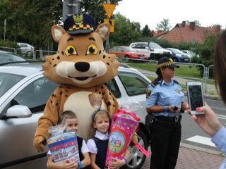 Bezpieczna droga do szkoły w rejonie Szkoły Podstawowej przy ulicy Przyjaznej w Katowicach