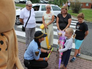 Bezpieczna droga do szkoły w rejonie Szkoły Podstawowej przy ulicy Przyjaznej w Katowicach