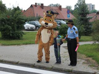 Bezpieczna droga do szkoły w rejonie Szkoły Podstawowej przy ulicy Przyjaznej w Katowicach