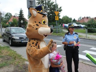Bezpieczna droga do szkoły w rejonie Szkoły Podstawowej przy ulicy Przyjaznej w Katowicach