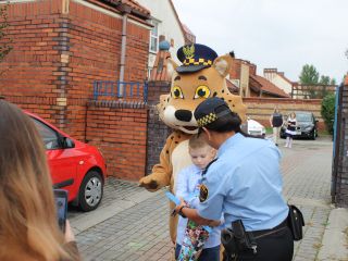 Bezpieczna droga do szkoły w rejonie Szkoły Podstawowej przy ulicy Przyjaznej w Katowicach