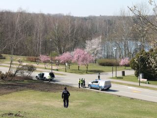 Policjanci, strażnicy miejscy oraz pojad dowoedzenia i radiowóz straży miejskiej