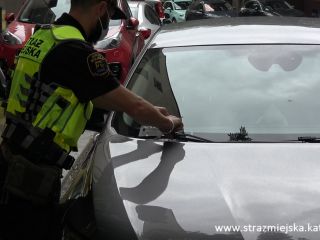 Strażnik miejski podczas wykonywania czynności przy nieprawidłowo zaparkowanym pojeździe